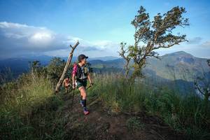 BIB: 
                            <button type="button" onclick="openModal(22445287)" class="btn btn-primary btn-sm float-right btn-popup" data-toggle="modal" data-target=".modal-high-quality">
                        <i class="fas fa-shopping-cart"></i> Add to Cart
                    </button>
                                            <button type="button" onclick="isThisMe(22445287, true)" class="btn btn-success btn-sm float-right btn-popup btn-isme hidden" data-toggle="tooltip" data-placement="bottom" title="นี่คือรูปของคุณใช่ไหม คลิกที่นี่เพื่อเอาเข้าอัลบั้ม">
                        <i class="fas fa-plus"></i> Add to album
                    </button>
                    <button type="button" onclick="isThisMe(22445287, false)" class="btn btn-warning btn-sm float-right btn-popup btn-isnotme hidden">
                        <i class="fas fa-ban"></i> Remove from album
                    </button>